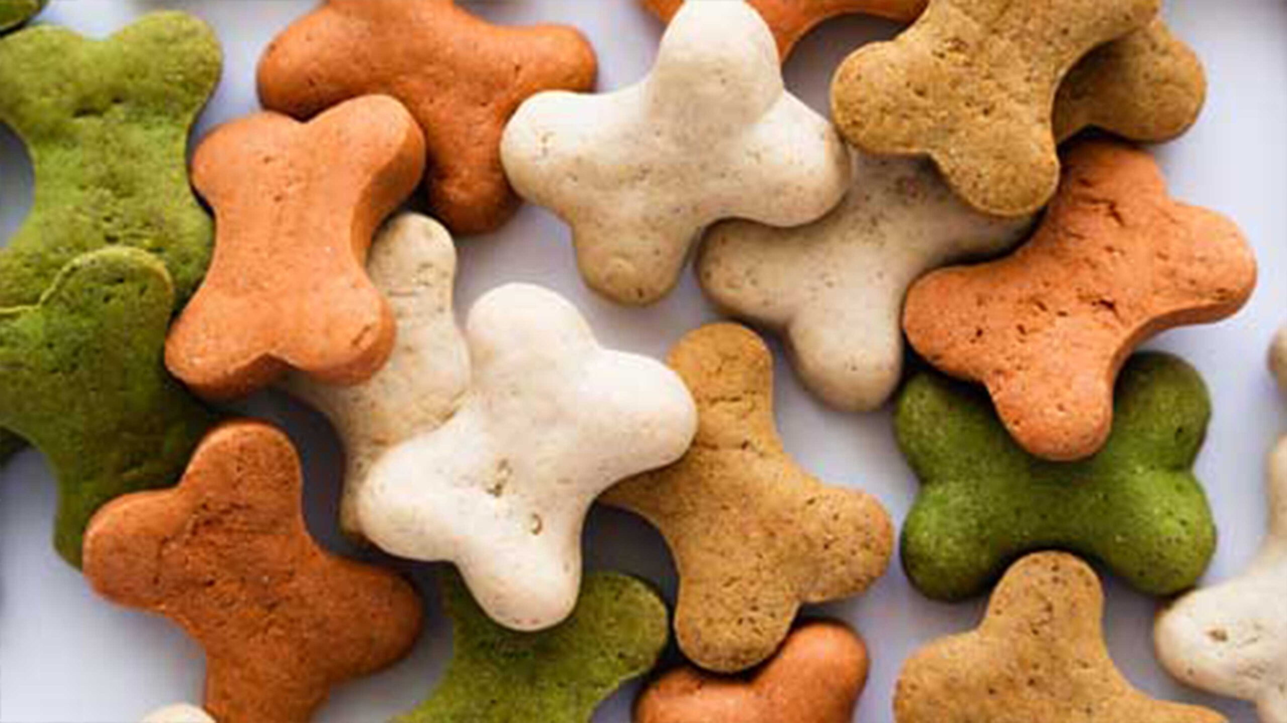 pet-supplements2